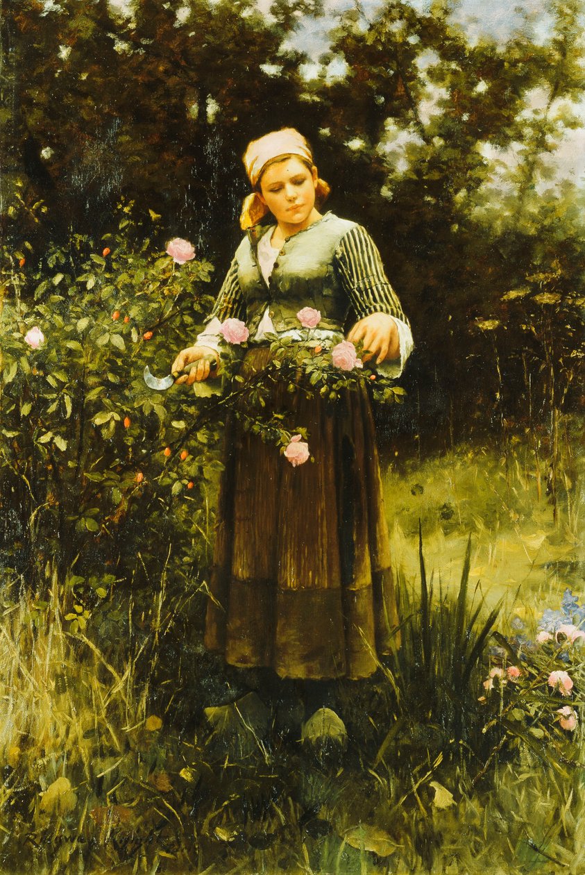 Sbírání růží, od Daniel Ridgway Knight