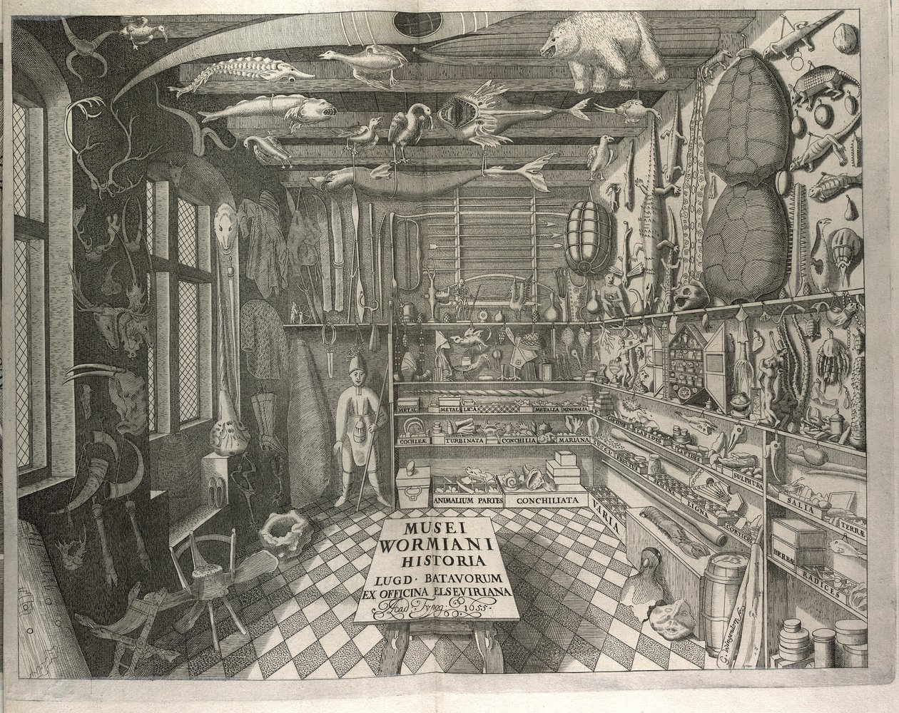 Frontispiece 