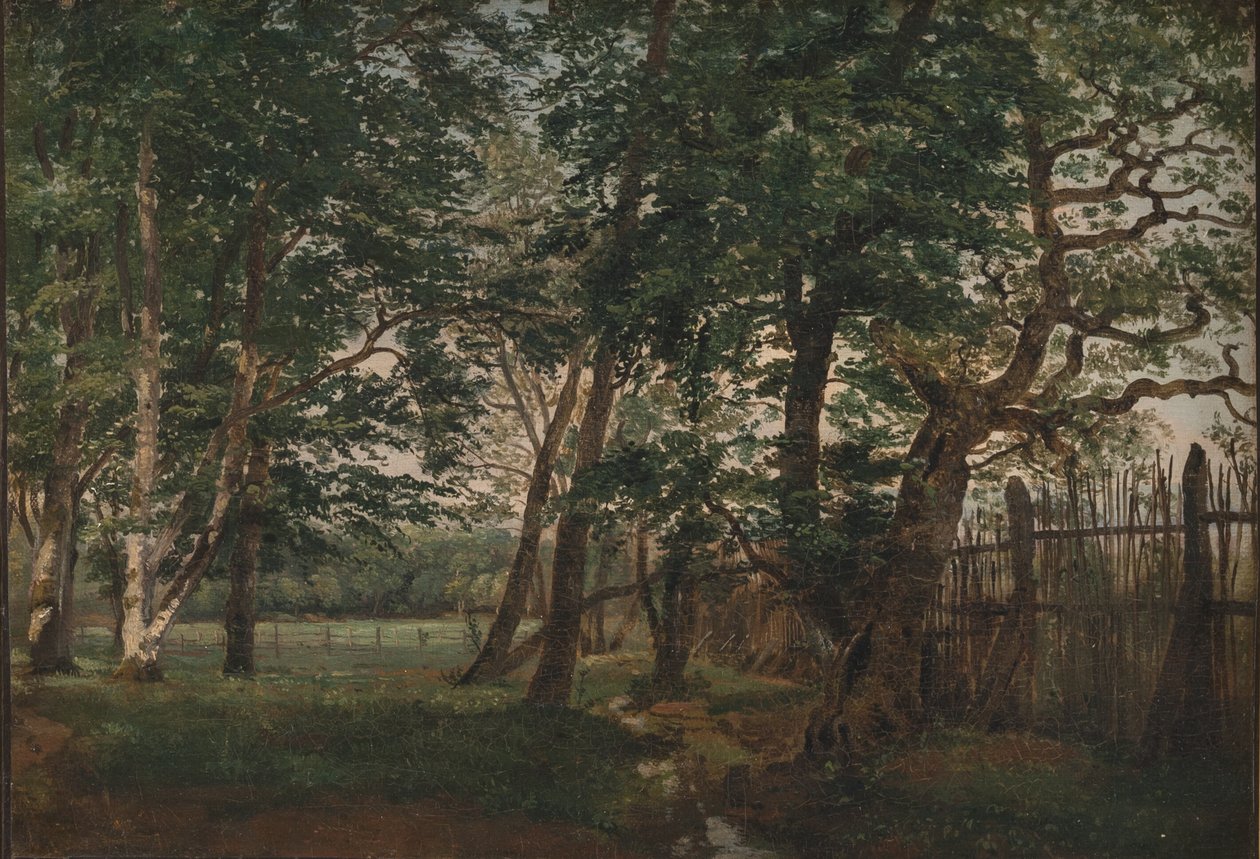 Deer Park severně od Kodaně od Dankvart Dreyer