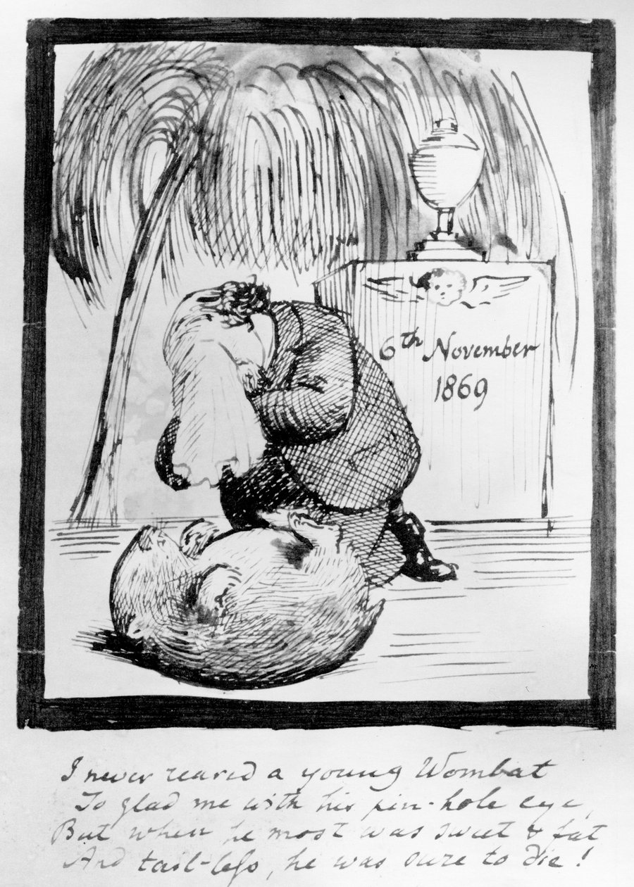 Rossetti naříká nad smrtí svého Wombata, 1869 (pero a inkoust na papíře) od Dante Gabriel Charles Rossetti