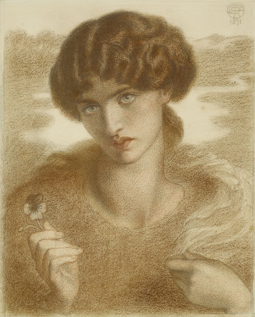 Studie pro "Water Willow", 1871 od Dante Gabriel Charles Rossetti