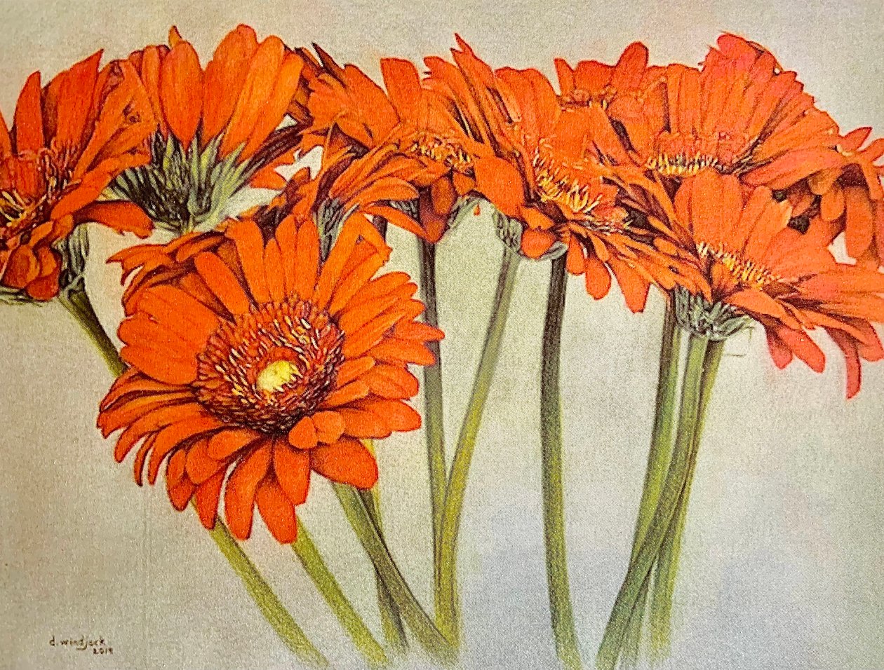 Orange Burst, 2019 (tužka, akryl na papíře) od Darrell Windjack