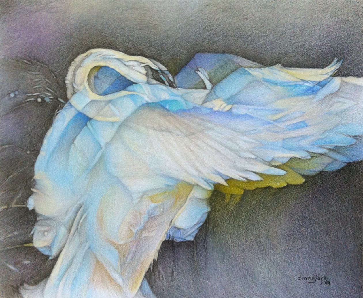 Taking Flight, 2019 (tužka na papíře) od Darrell Windjack