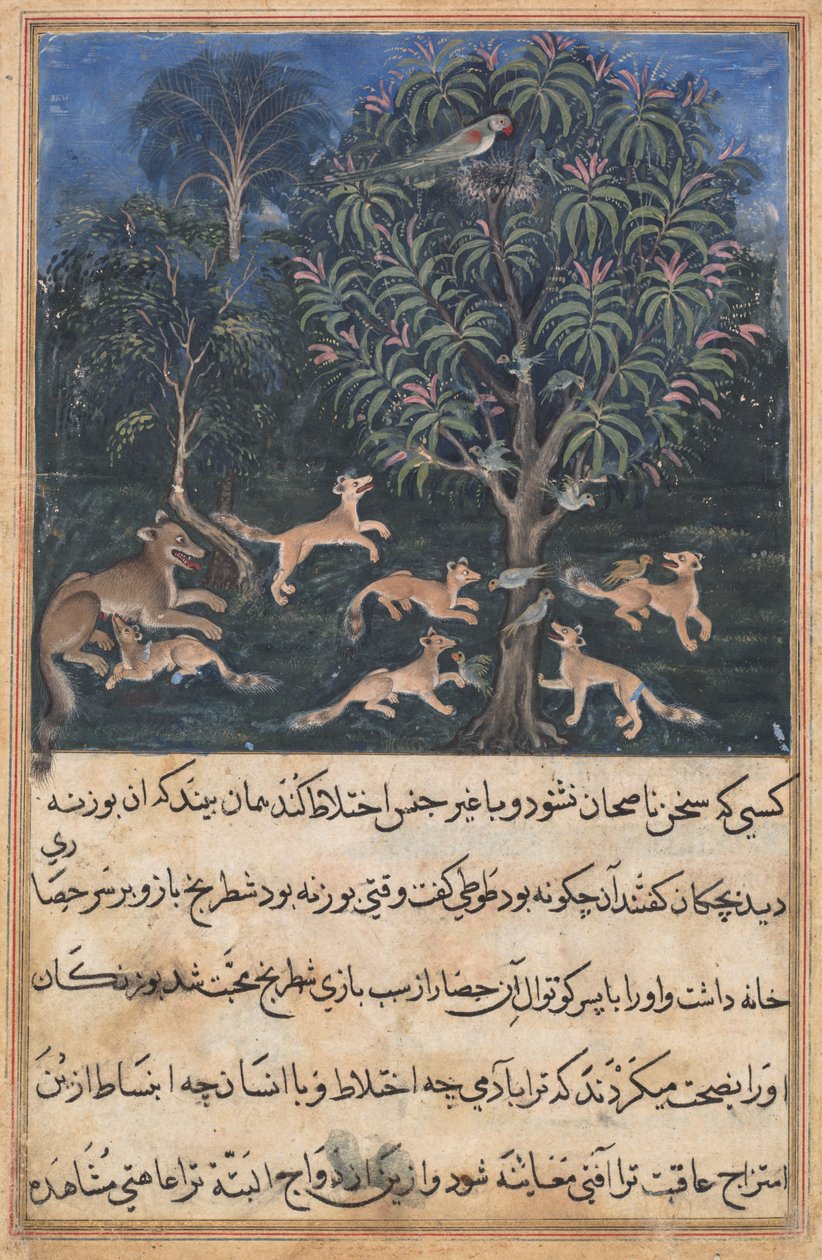 Stránka z Příběhů papouška Tuti-nama: Pátá noc: Papouščí matka varuje..., c. 1560. od Daswanth