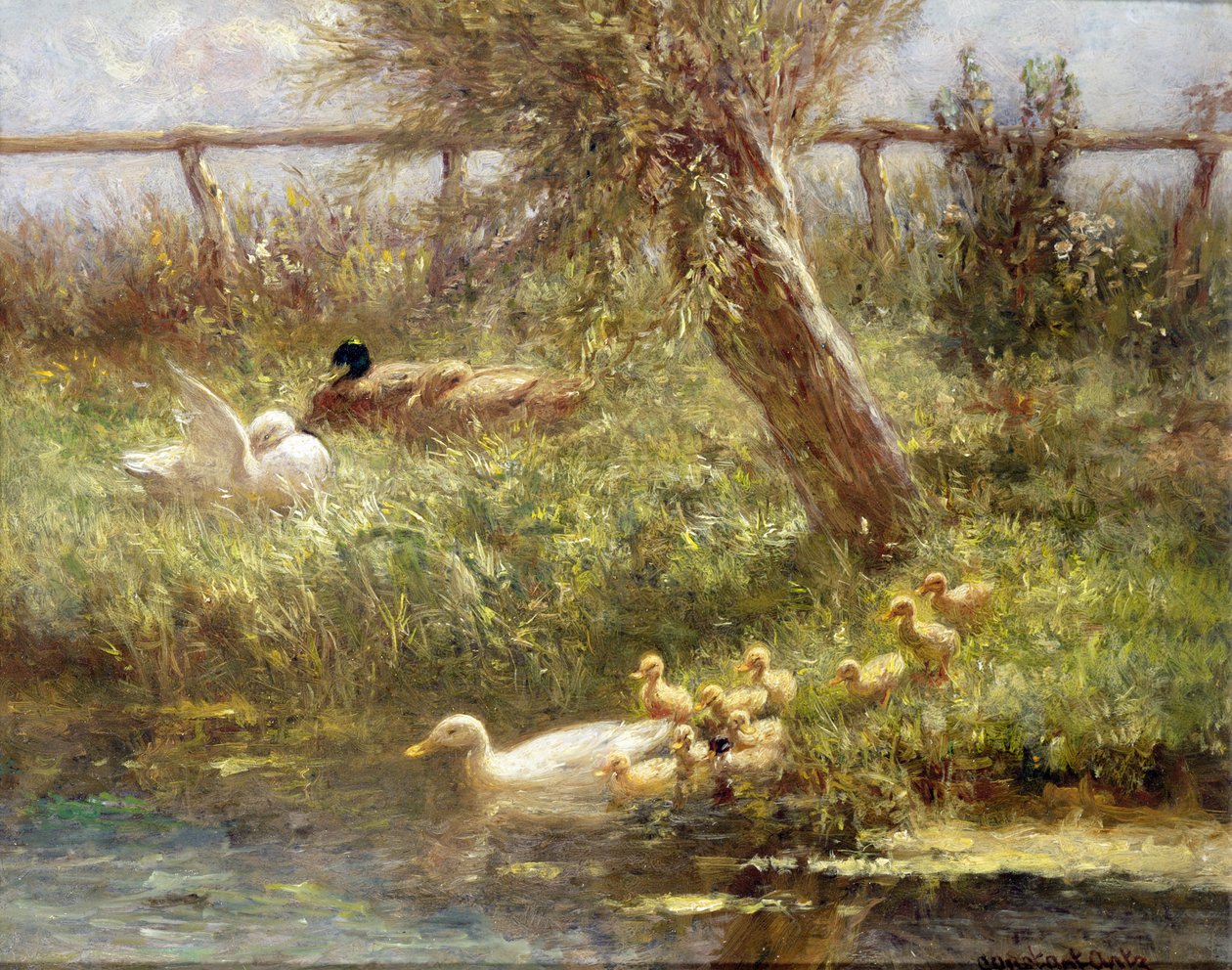 Kachny a kachňata od David Adolph Constant Artz