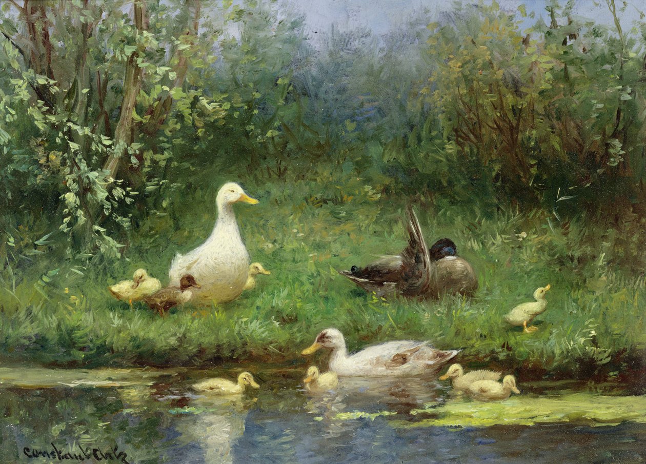 Kachny na břehu řeky od David Adolph Constant Artz