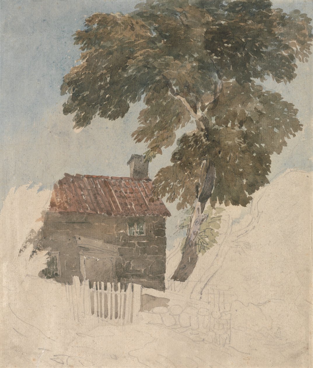 Chata a stromy od David Cox