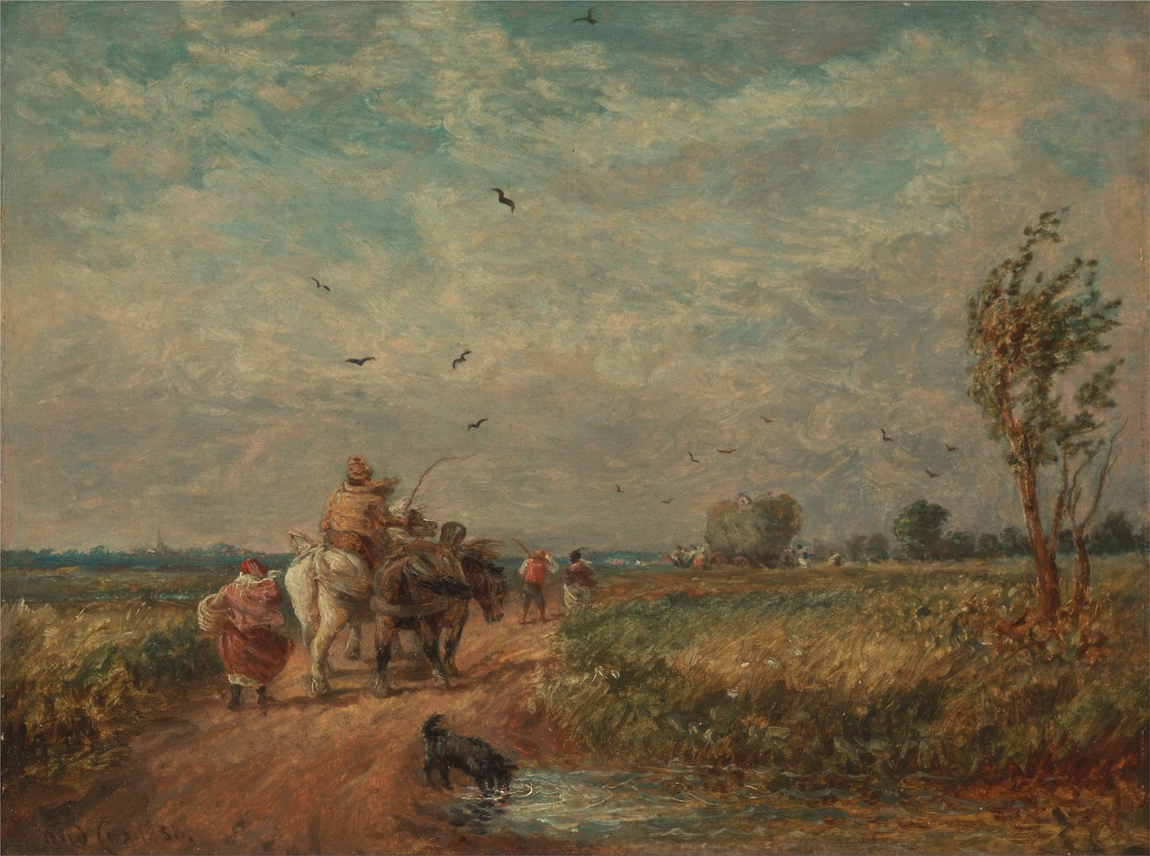 Jít do Hayfieldu od David Cox