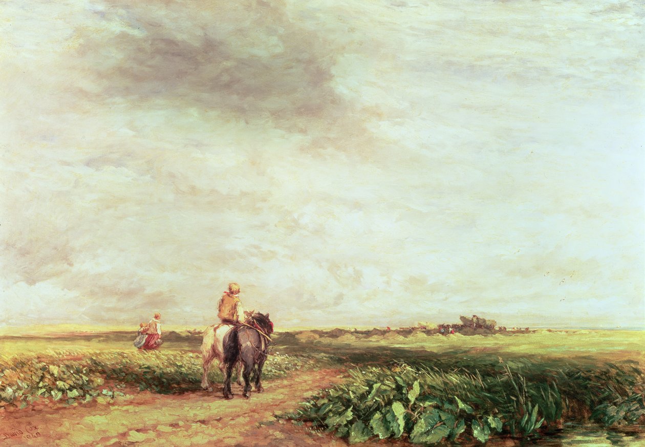 Krajina od David Cox