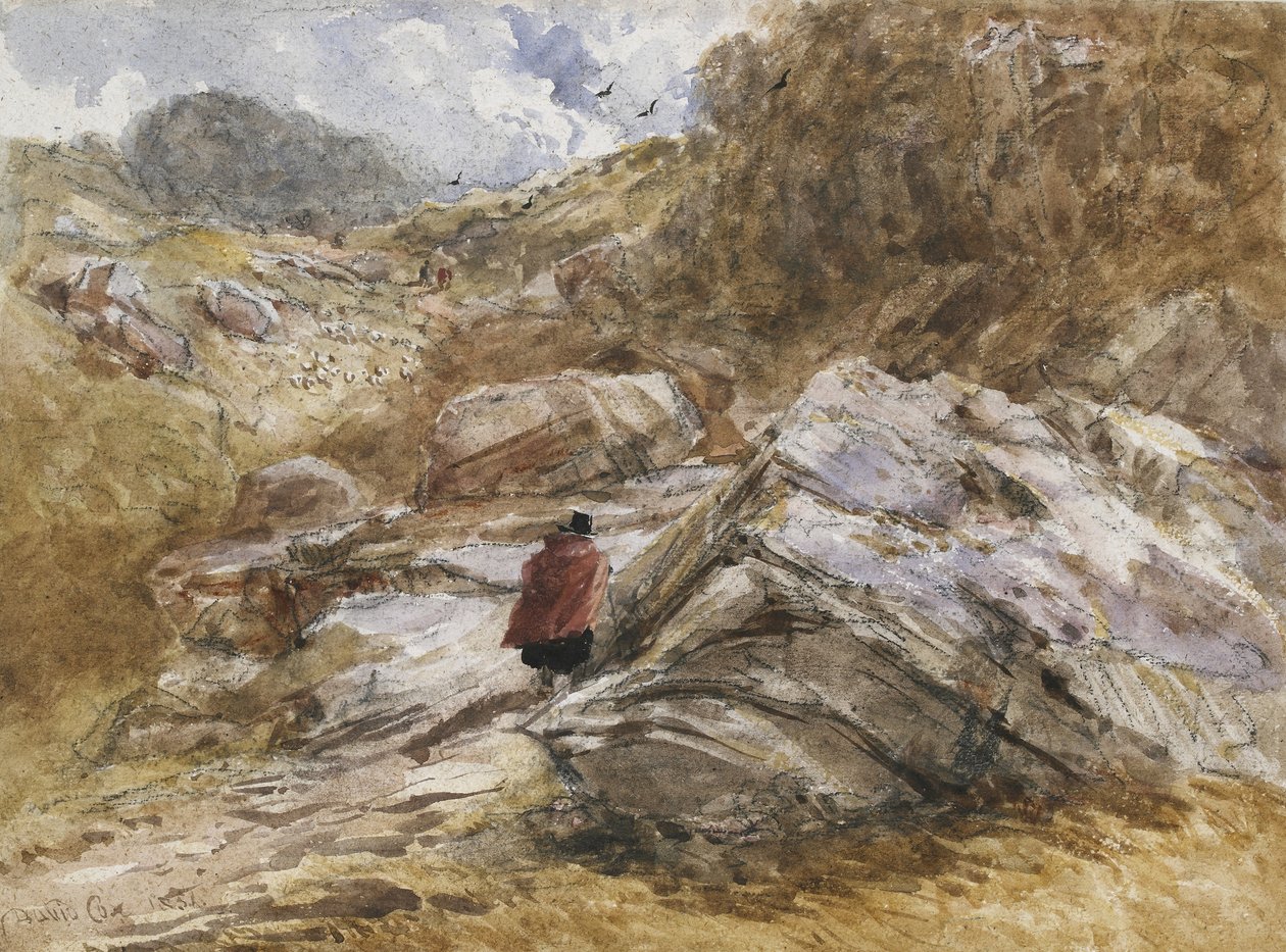Horský průsmyk u Bettws-y-Coed, 1851 (akvarel na černé křídě) od David Cox