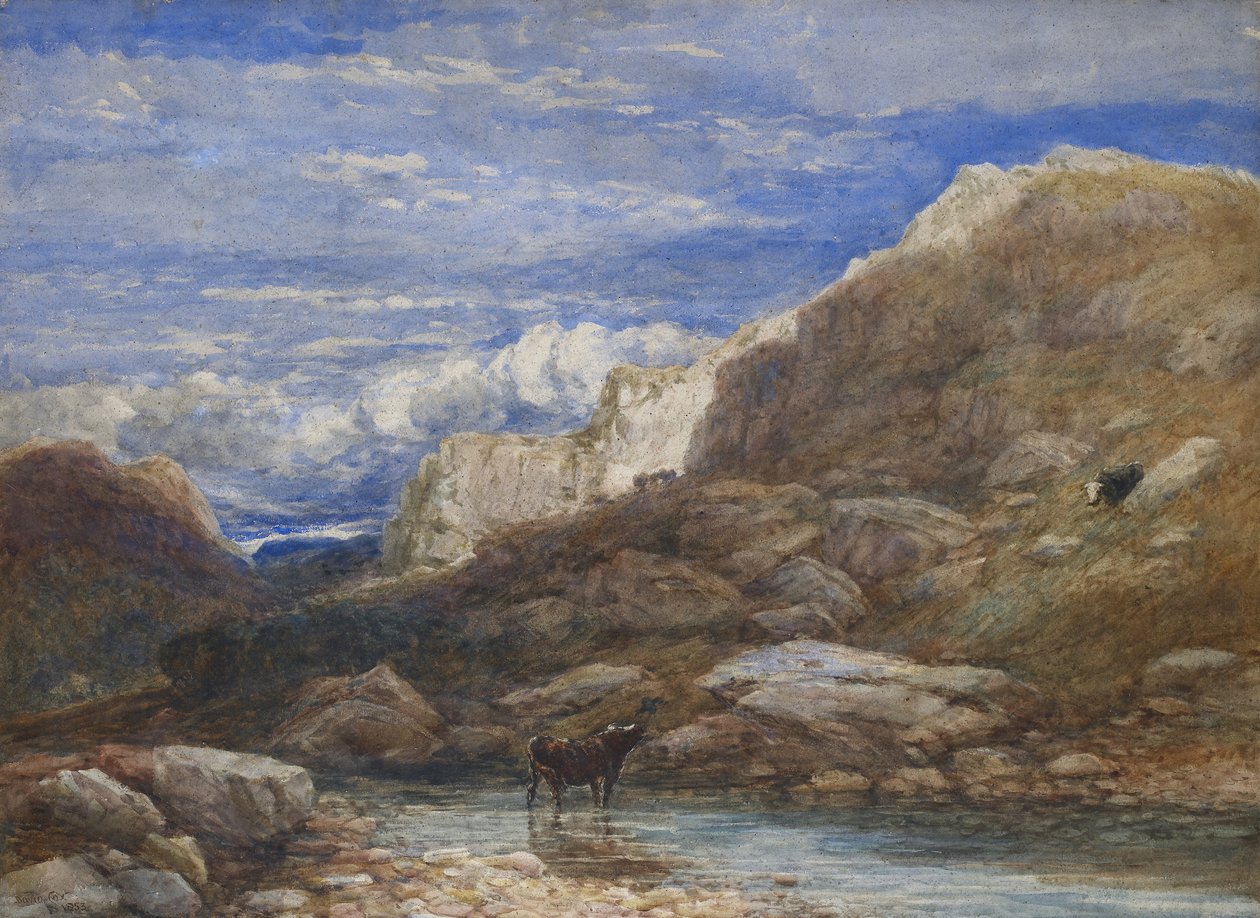 Výzva, 1853 (akvarel na papíře) od David Cox