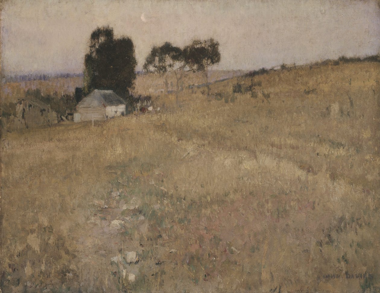 Letní večer od David Davies