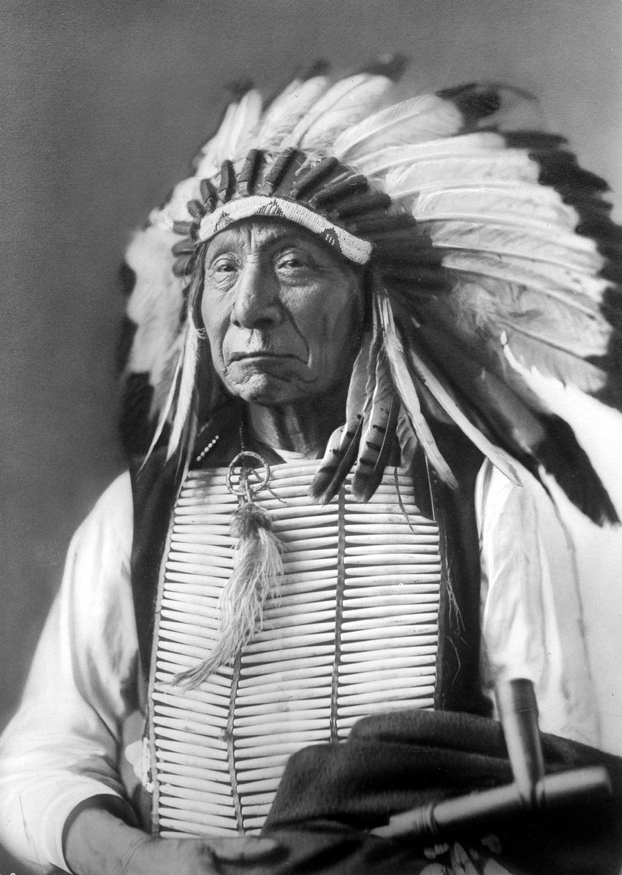 Red Cloud, náčelník Dakoty s čelenkou, 80. léta 19. století od David Frances Barry