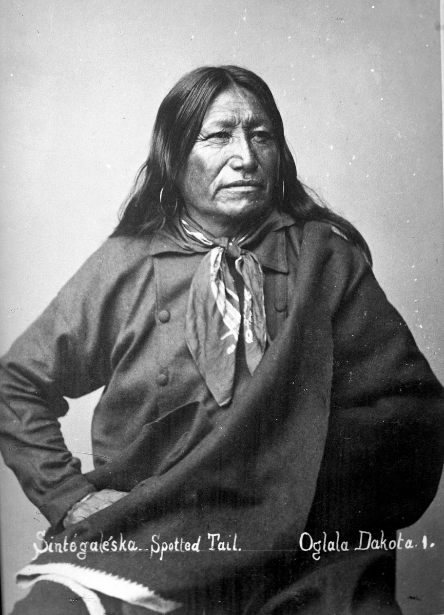 Sintegaleska, Skvrnitý ocas, Oglala Dakota I, 80. léta 19. století od David Frances Barry