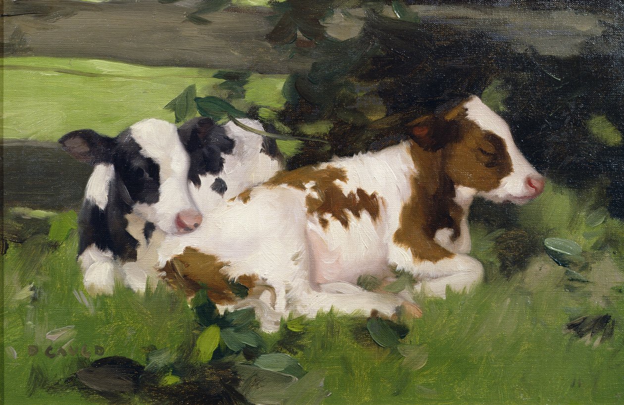 Ayrshire Calves, kolem roku 1890 od David Gauld