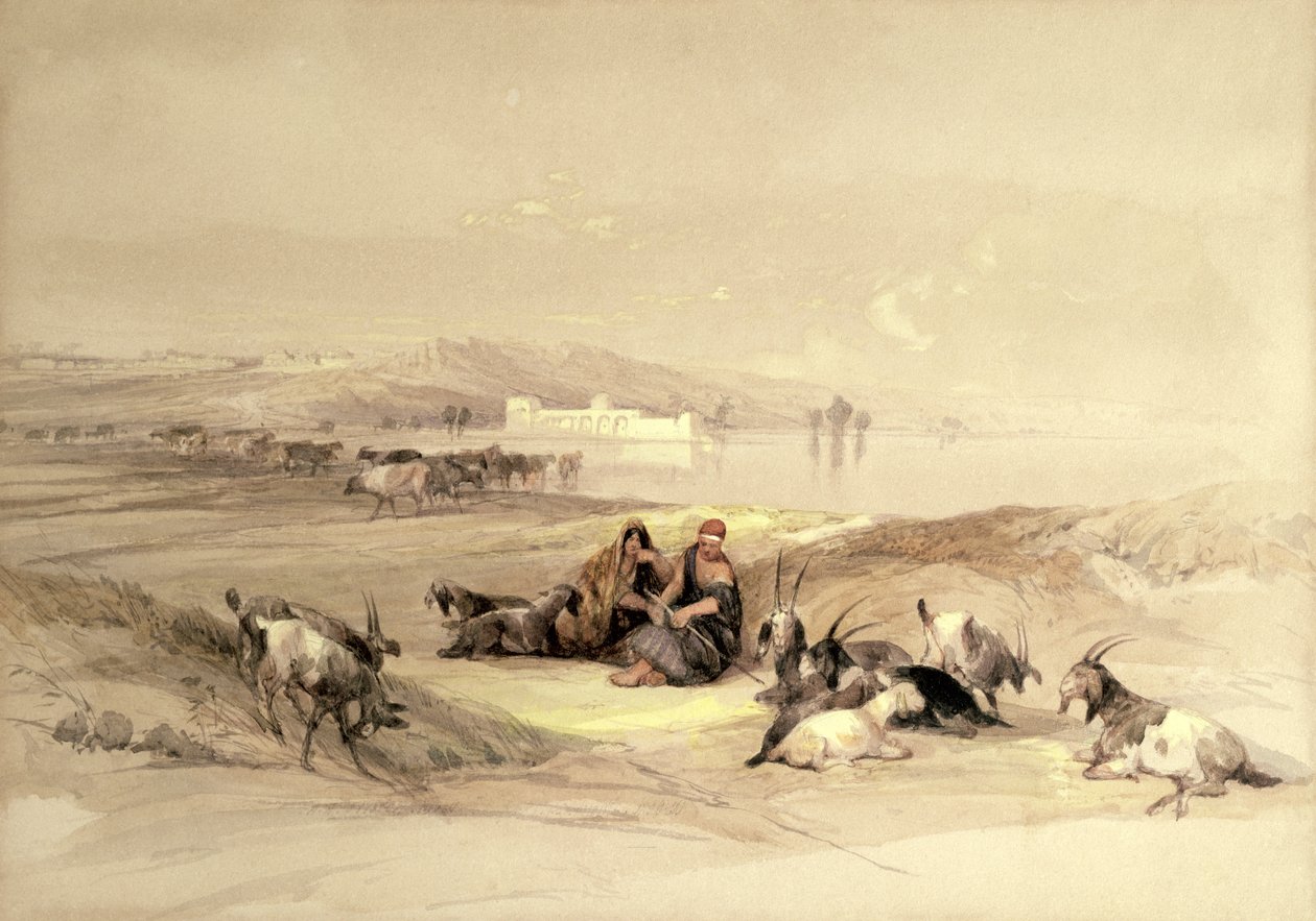 Starověký Ashdod od David Roberts