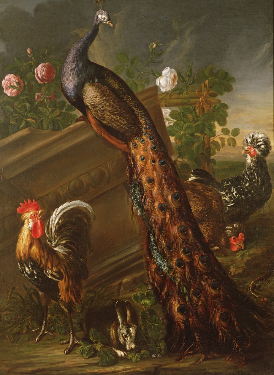 Páv a kohouti, 17. století od David de Koninck