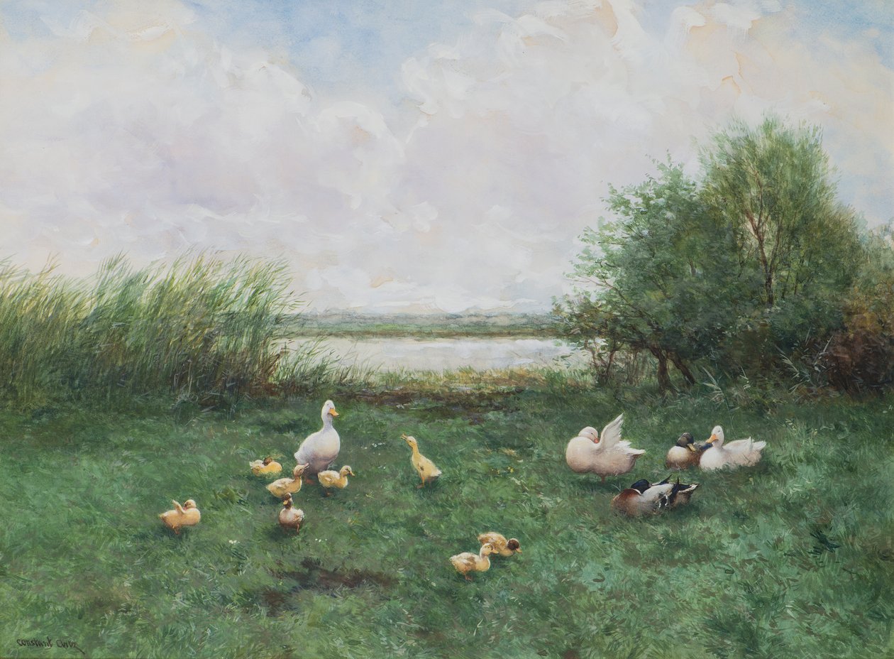 Kachny a kachňata od David Adolph Constant Artz