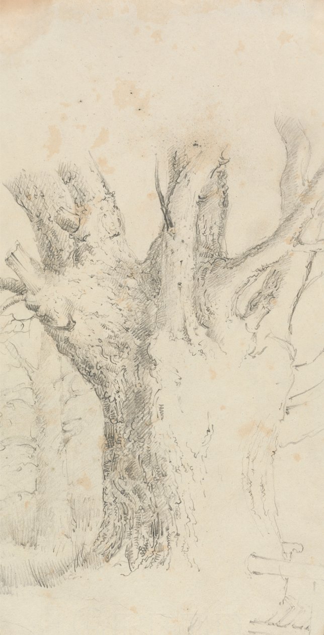 Strom od David Charles Read