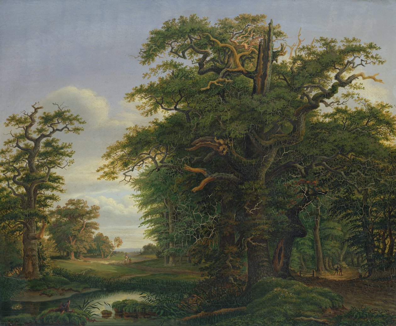 Dubové dřevo, 1847 od David Christopher Mettlerkamp
