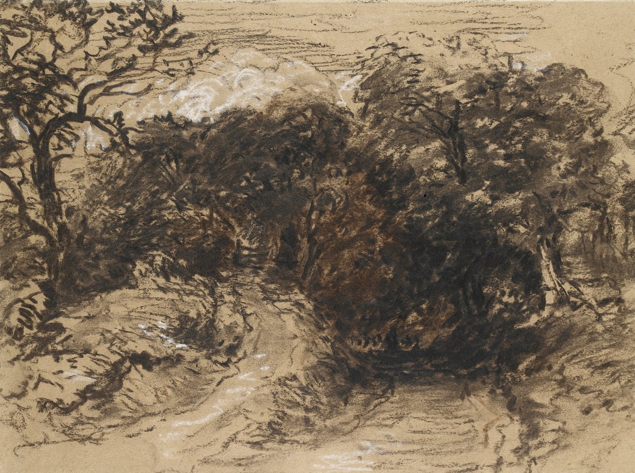 Dutá ulice poblíž Harborne, Derbyshire (černá křída s nádechem bílé a trochu hnědé barvy) od David Cox