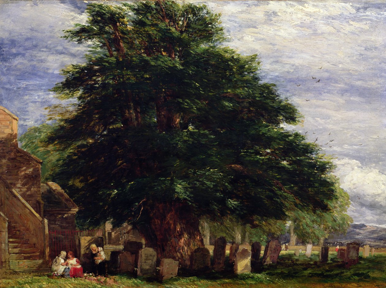 Darley hřbitov od David Cox