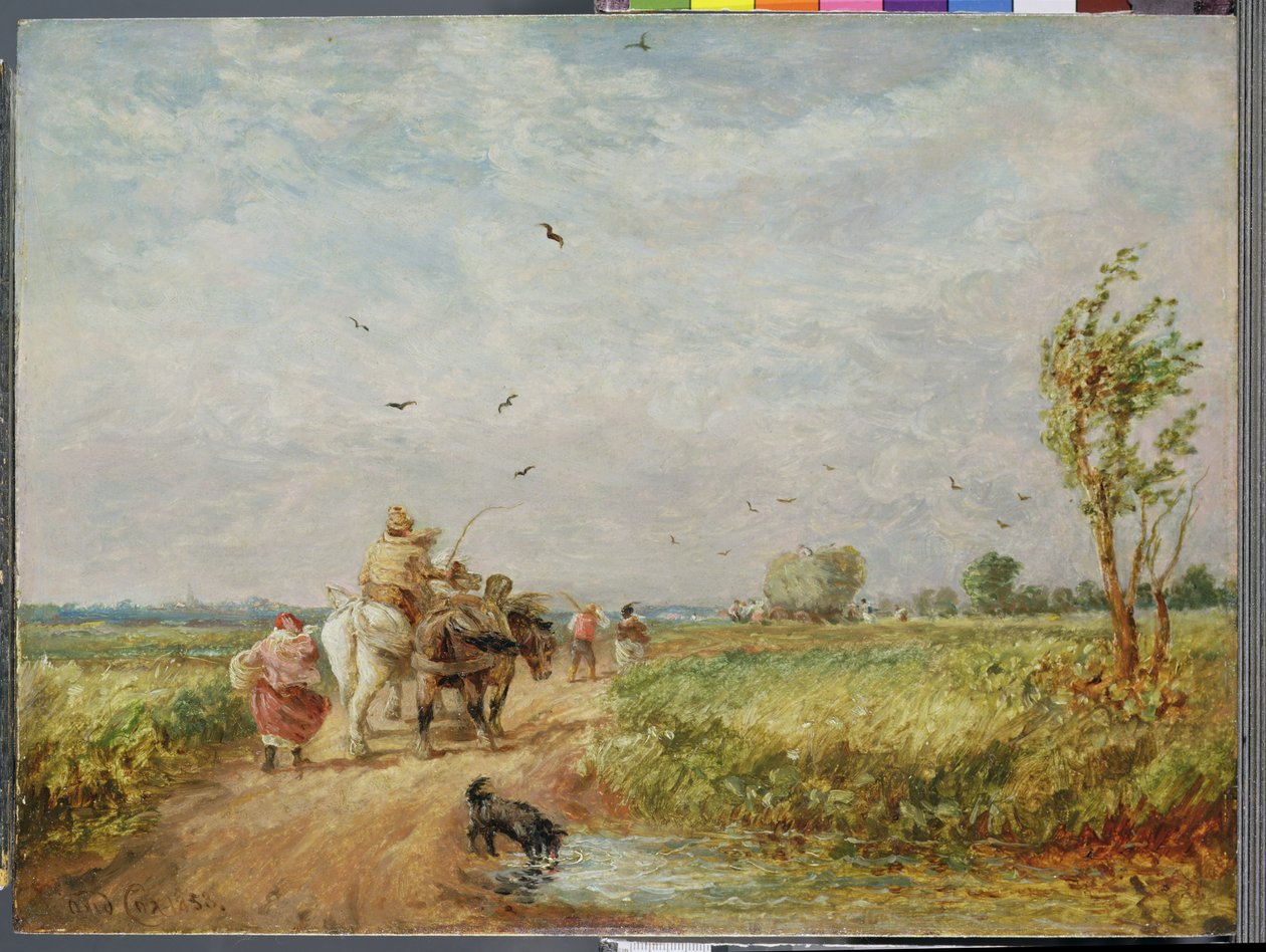 Jdu do Hayfieldu od David Cox