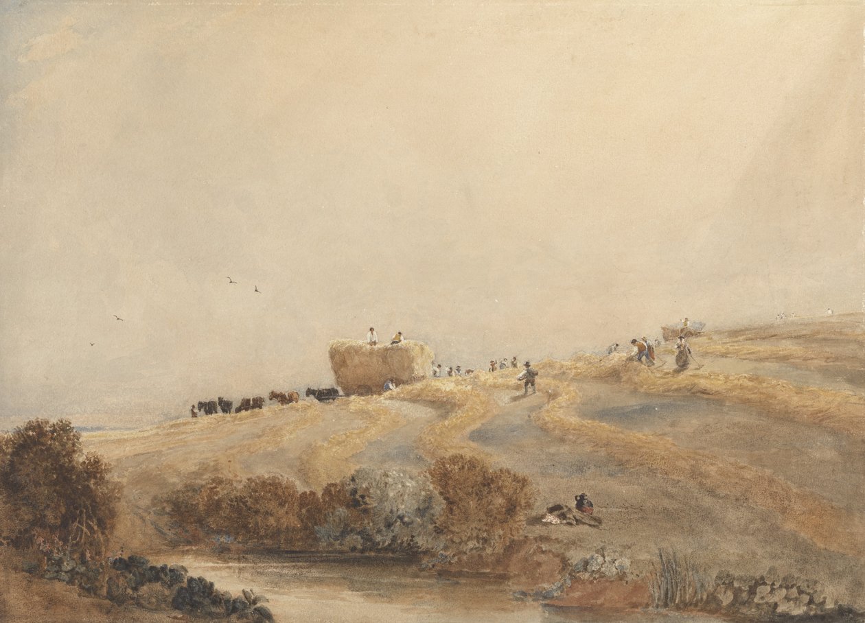 Výroba sena, cca 1808 (bez barvy s karoserií přes grafit na papíře) od David Cox