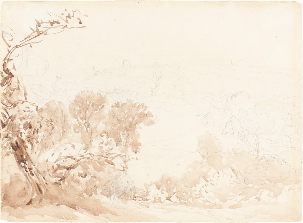 Svah a stromy od David Cox