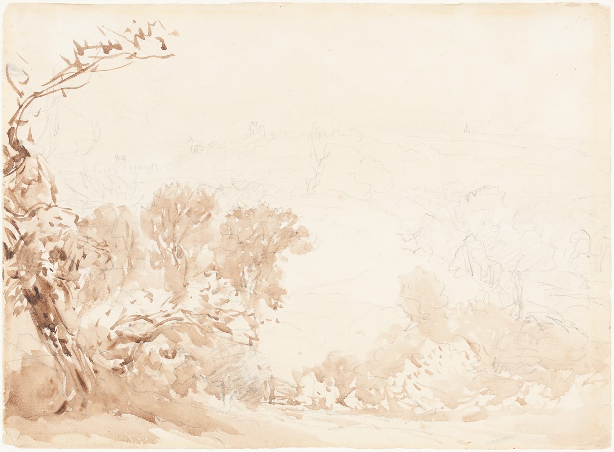 Svah a stromy od David Cox
