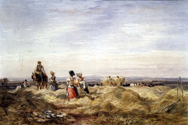 V Hayfield (akvarel) od David Cox