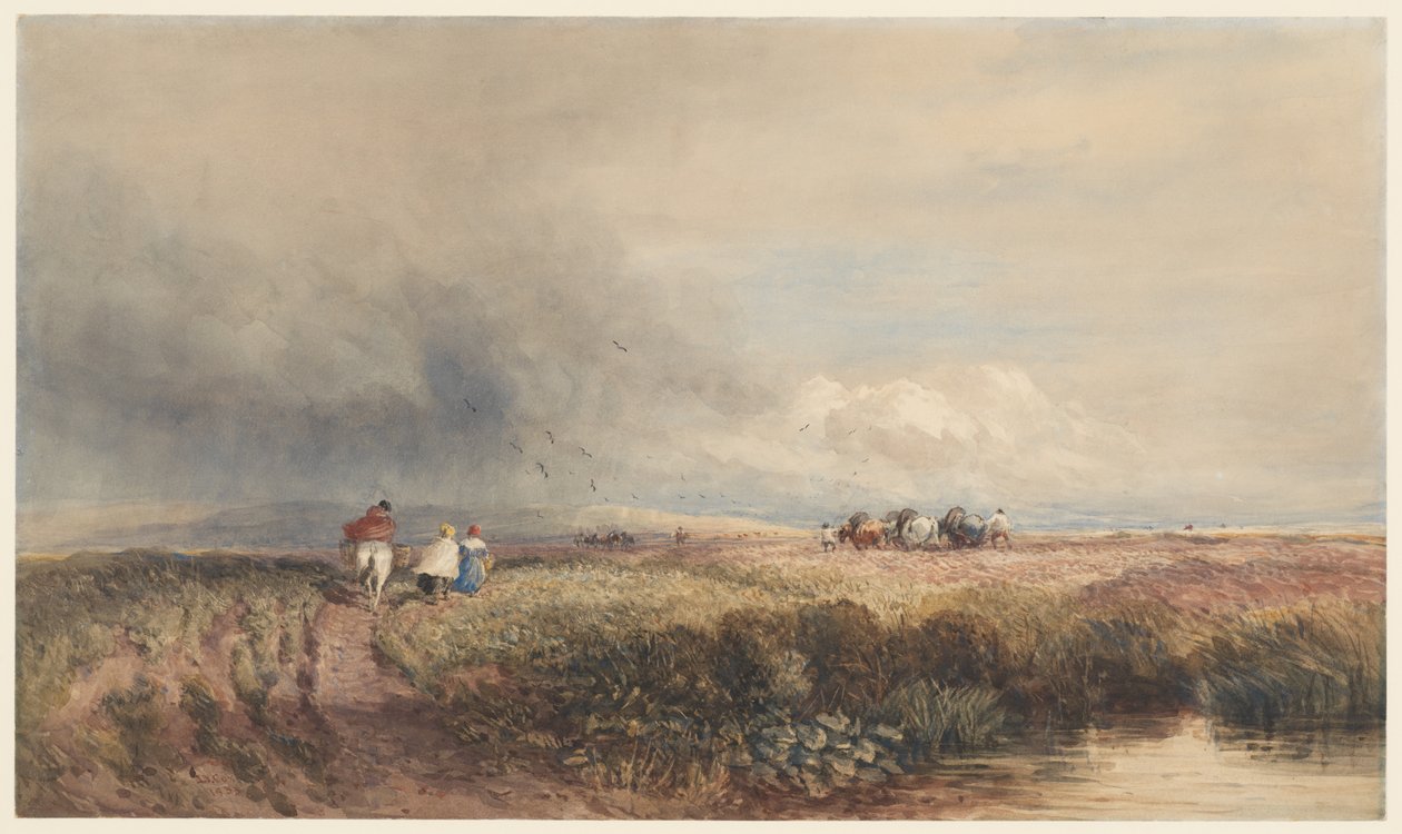 Cesta domů od David Cox