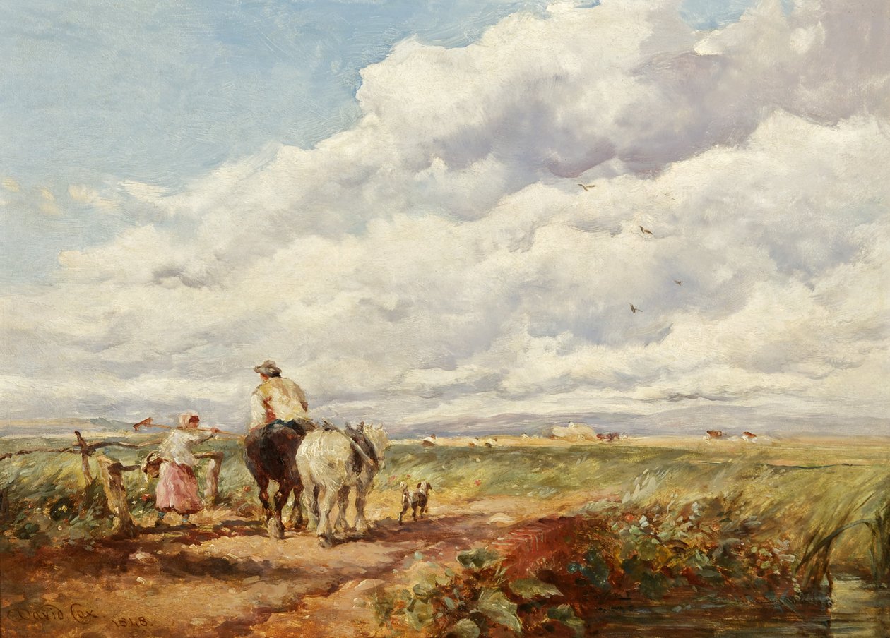 Závěsný od David Cox