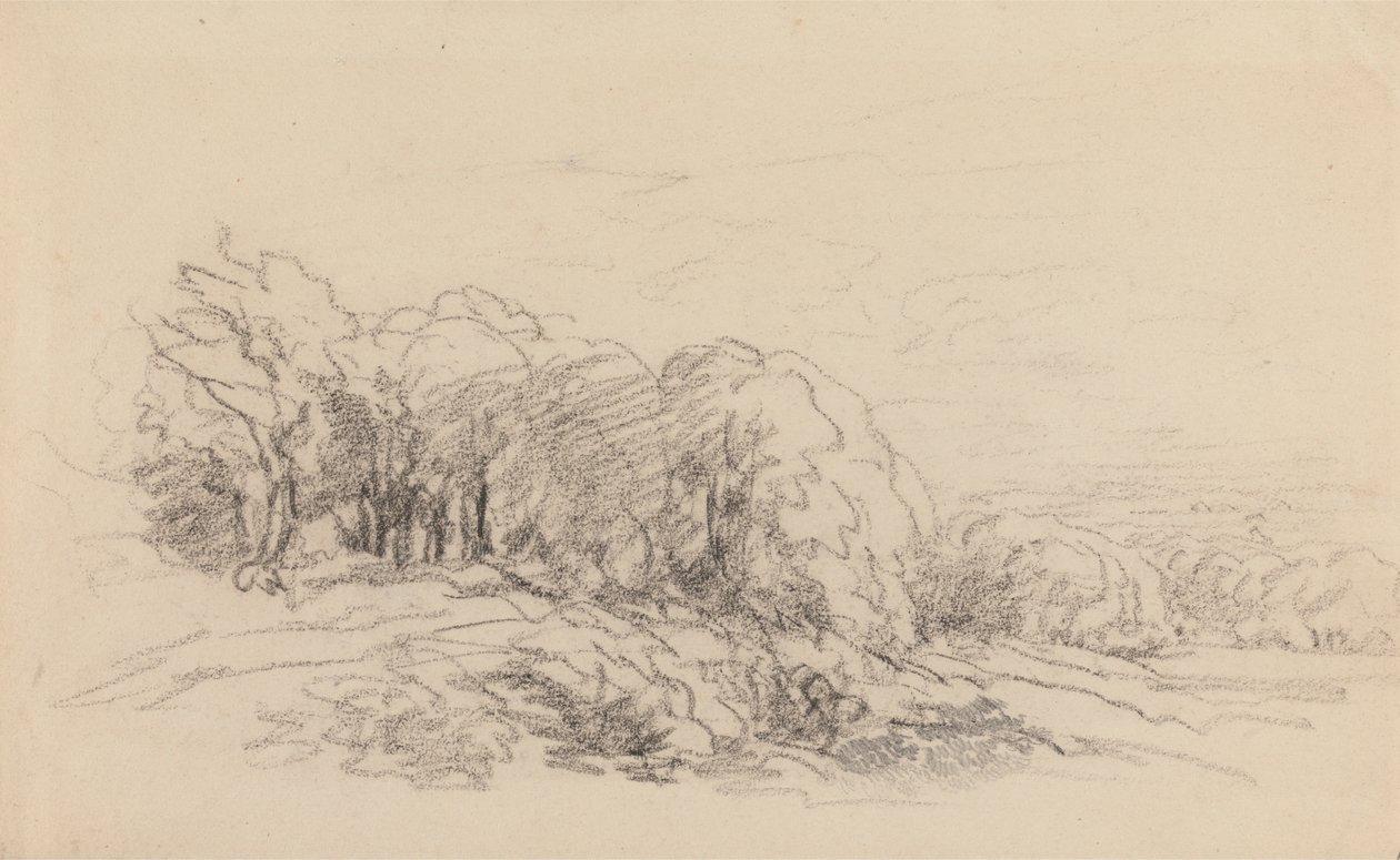 Krajina se stromy od David Cox