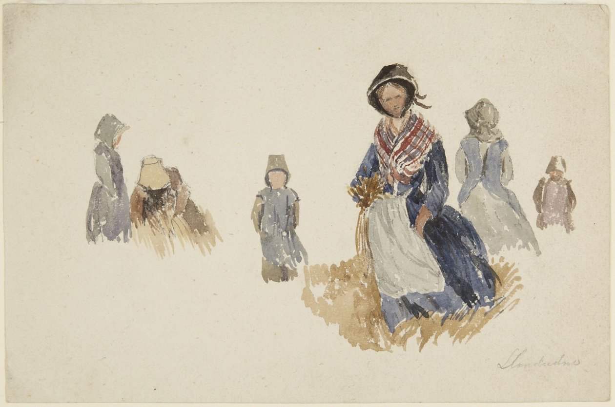 Studie žen od David Cox
