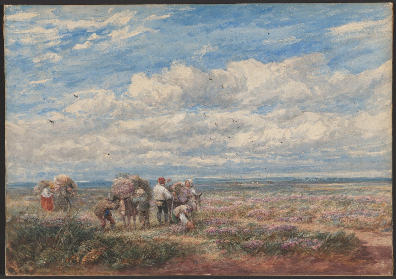 Sběrači vřesu nebo janovce od David Cox
