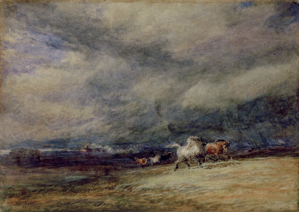 Noční vlak od David Cox
