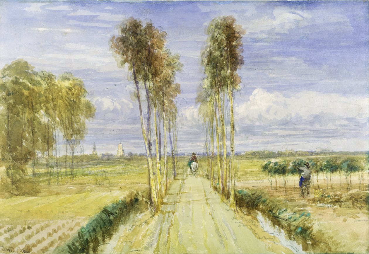 The Poplar Avenue (akvarel přes tužku a černou křídu na papíře) od David Cox