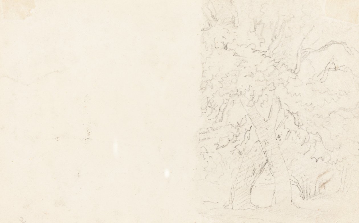 stromy [verso] od David Cox