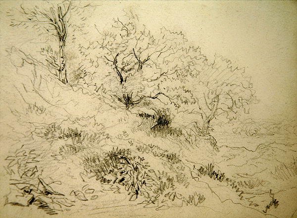 Velšská krajina (křída na papíře) od David Cox