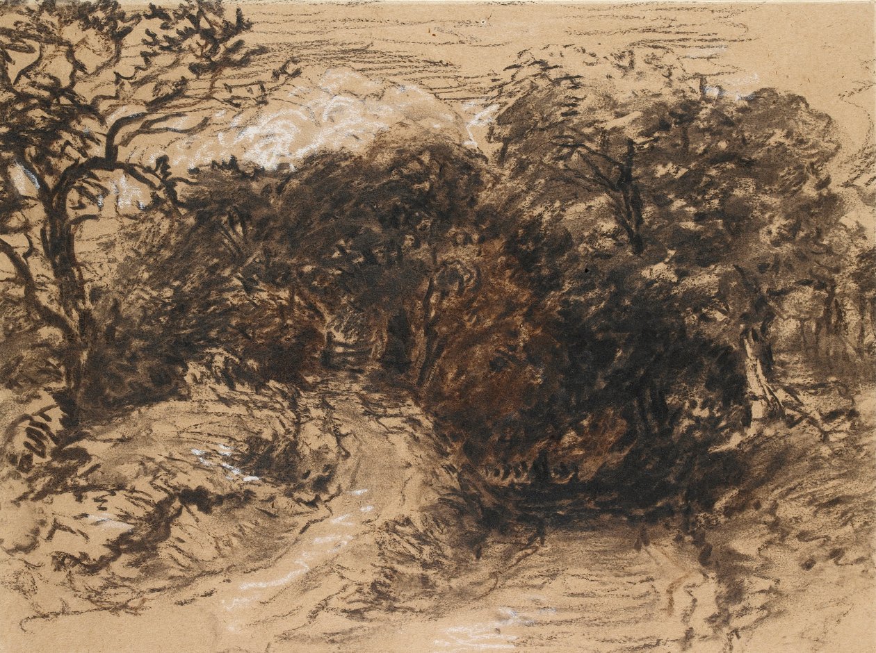 Hollow Lane poblíž Harborne, Derbyshire, 19. století od David Cox the elder