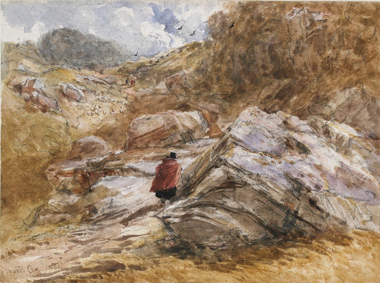 Horský průsmyk v Bettws-y-Coed, 1851 od David Cox the elder