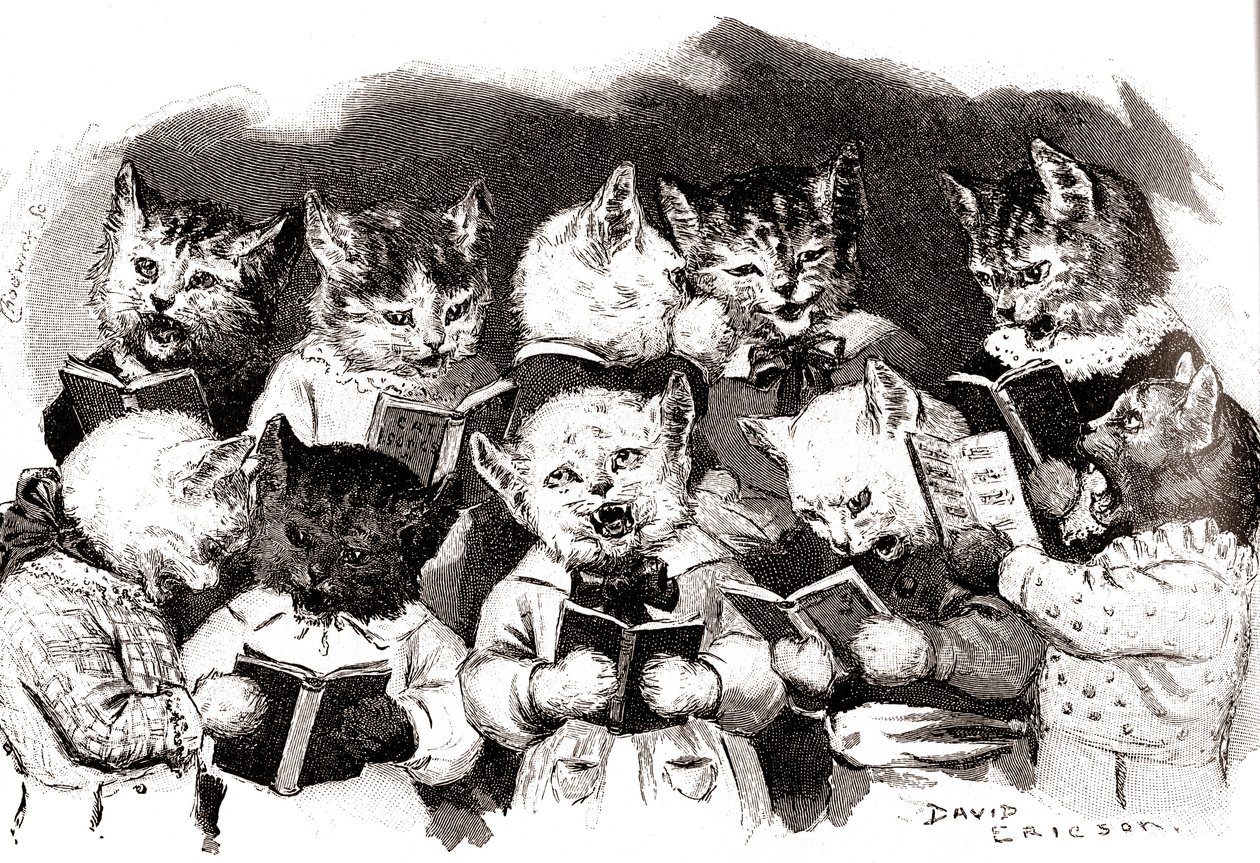 Zpívající kočičí sbor, počátek 20. století (ilustrace) od David Ericson