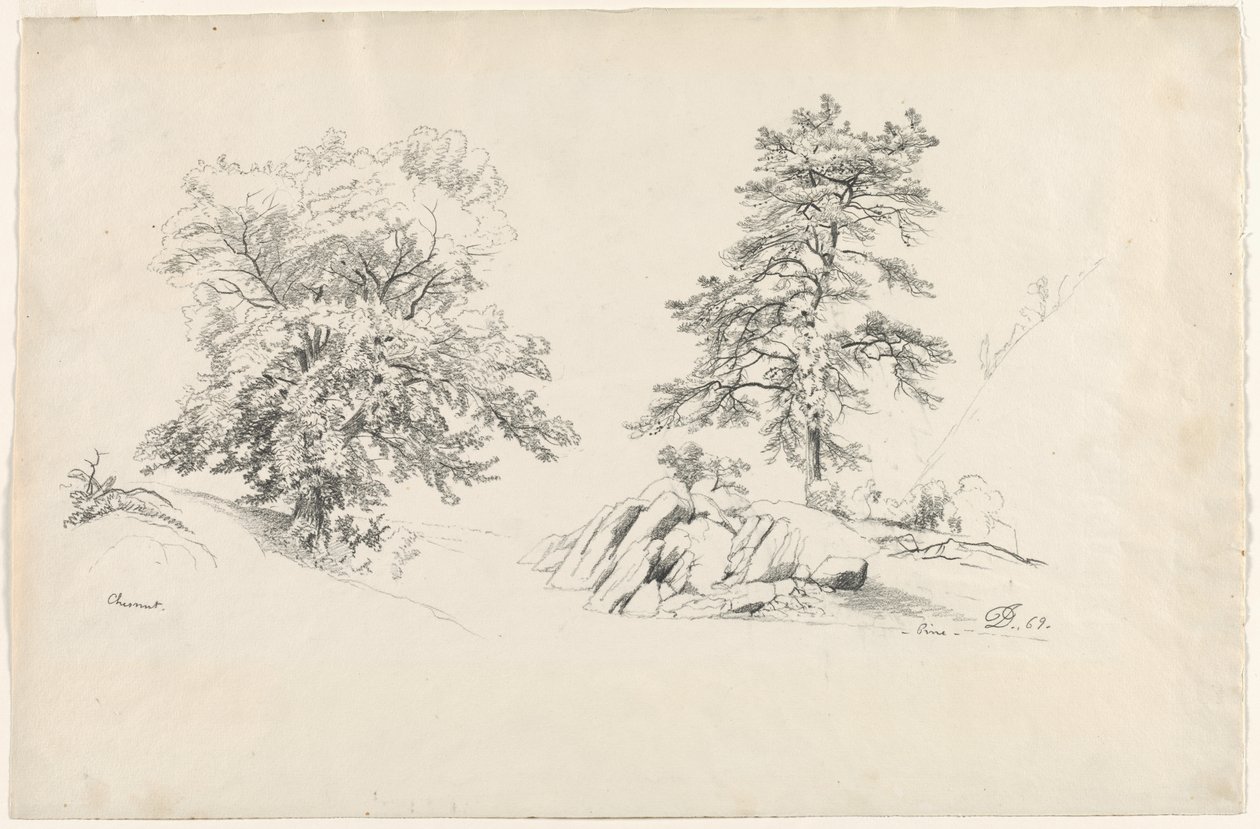 Kaštan a borovice, 1869. od David Johnson
