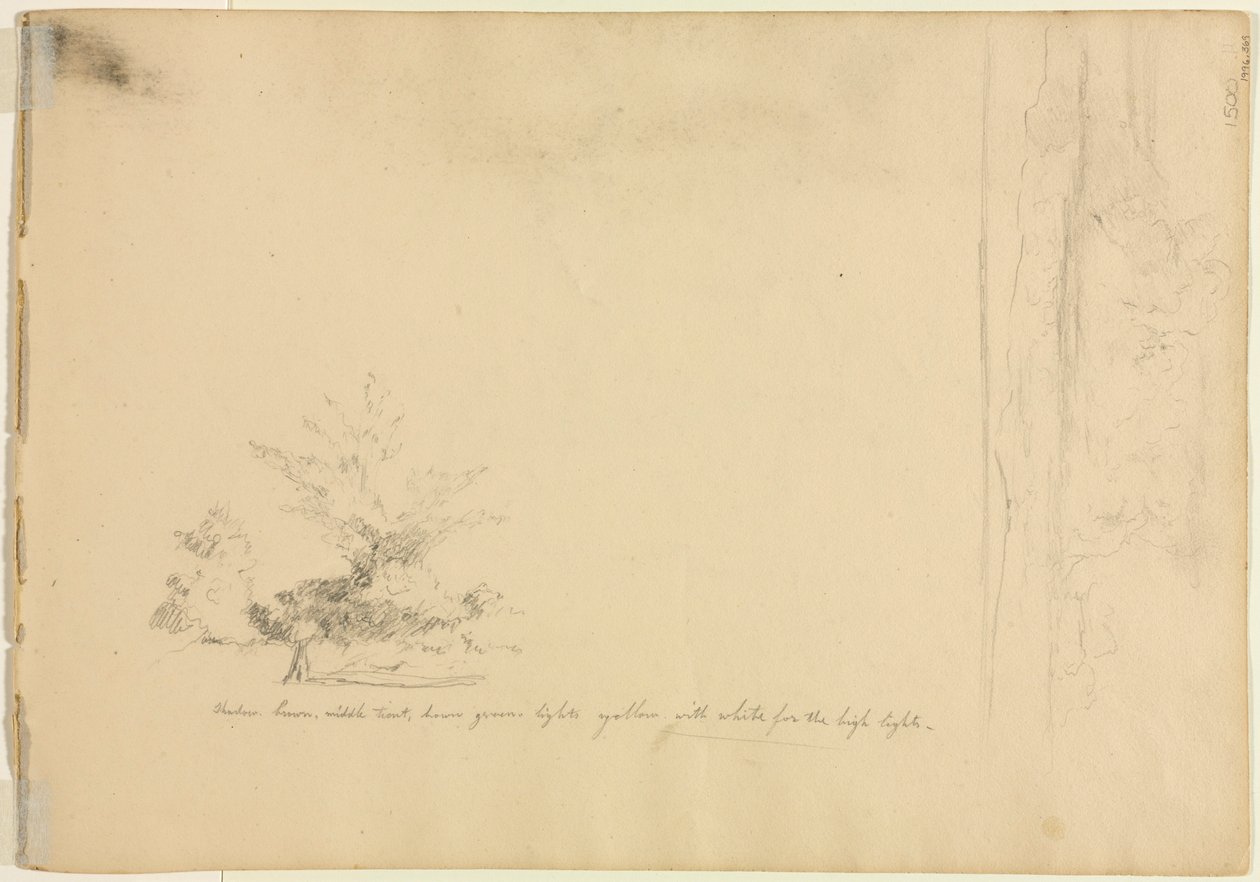 Studie krajiny a stromů (verso) od David Johnson
