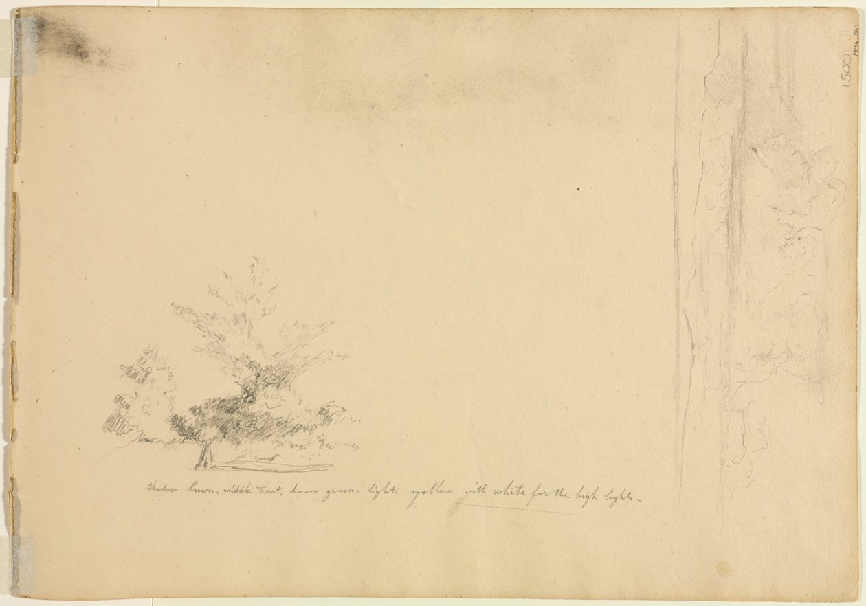 Krajinná a stromová studia verso, c. 1851. od David Johnson