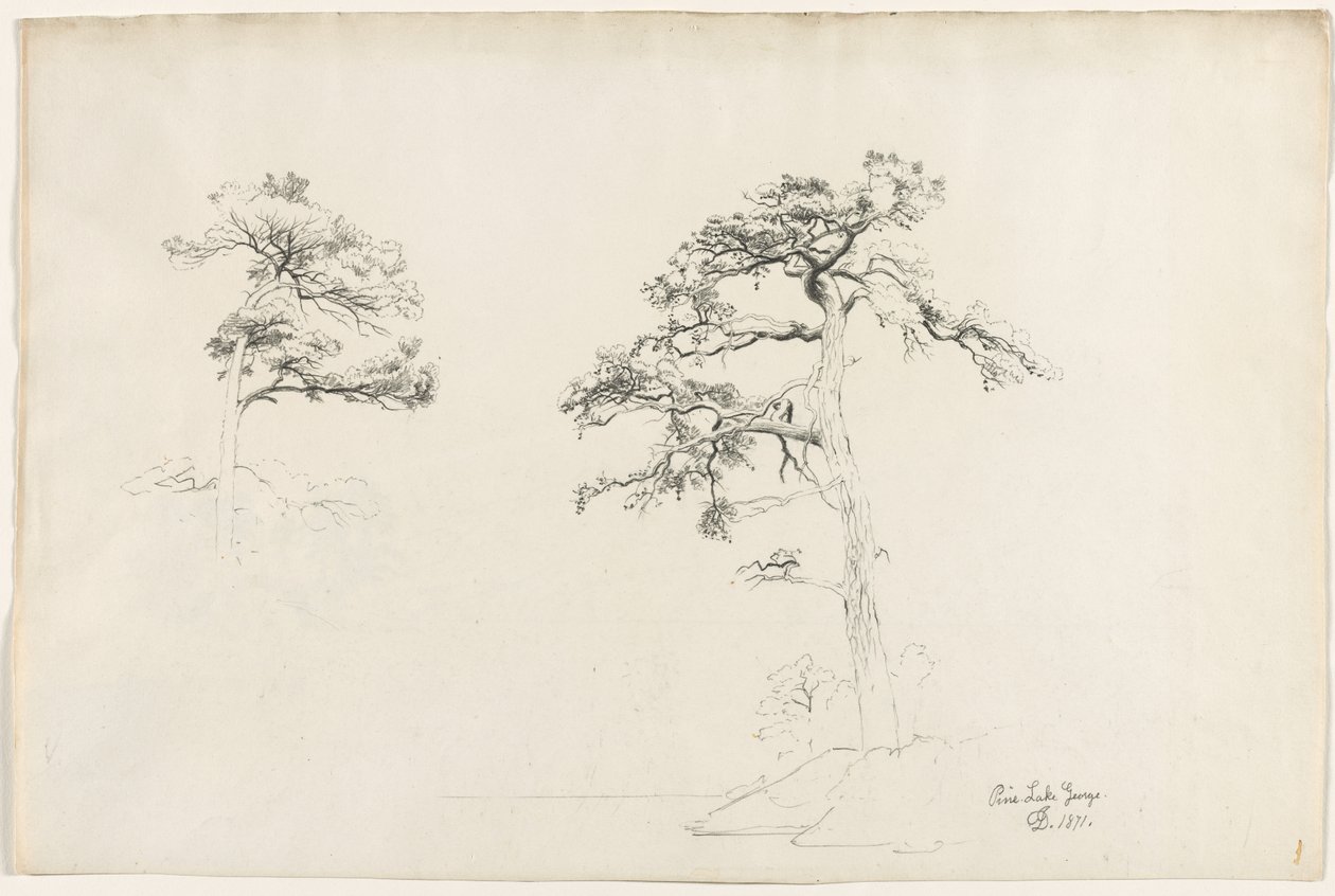 Pine, Lake George, 1871. od David Johnson