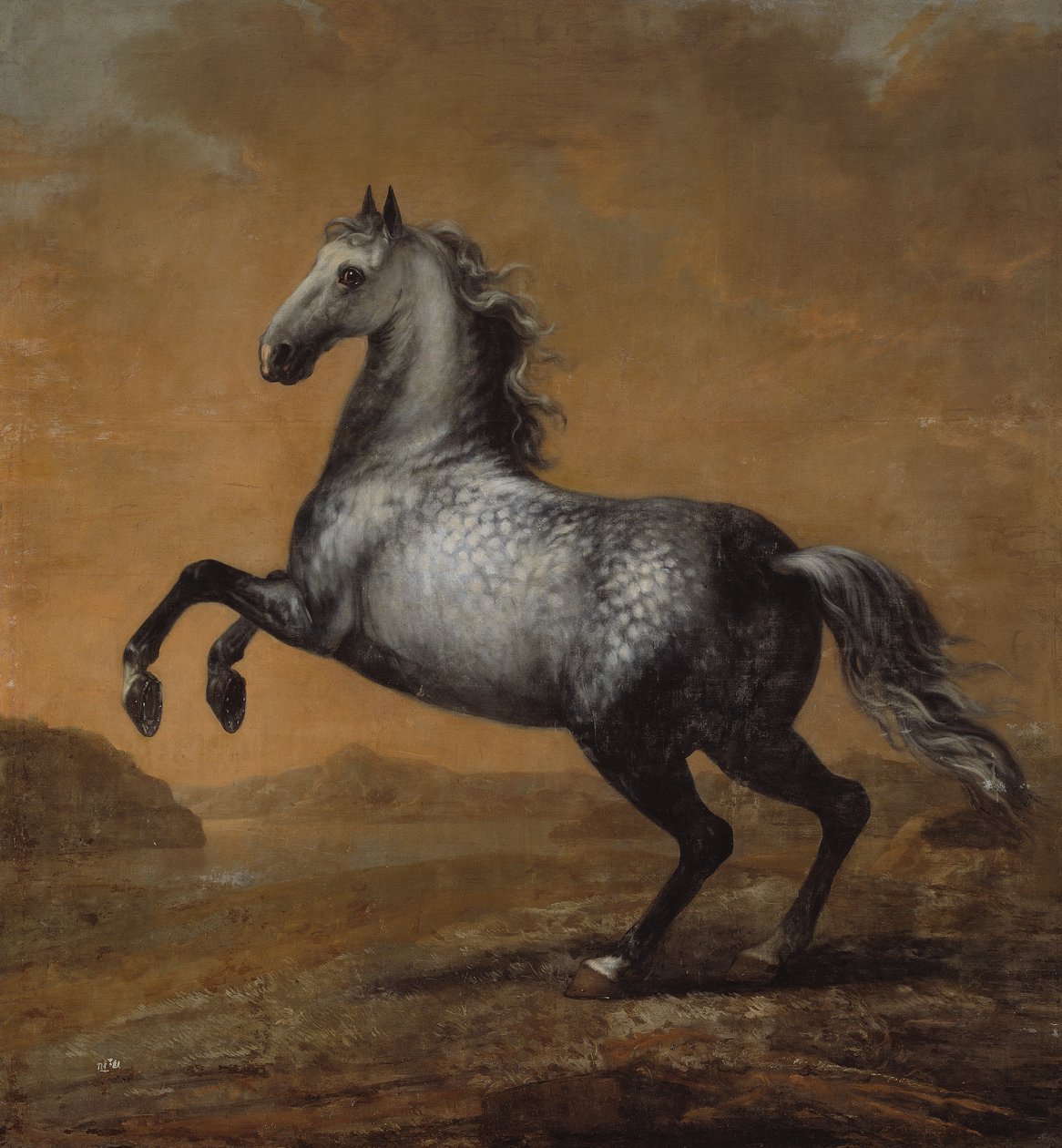 Malý Angličan, kůň krále Karla XI (1655-97) od David Klöcker Ehrenstrahl