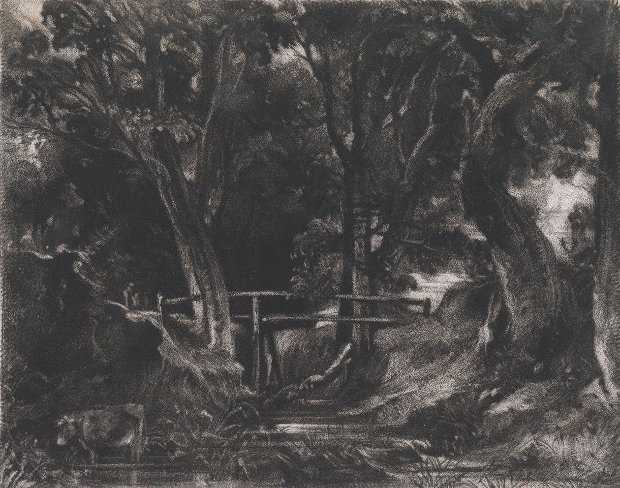 A Dell, Helmingham Park, Suffolk, 1830. od David Lucas
