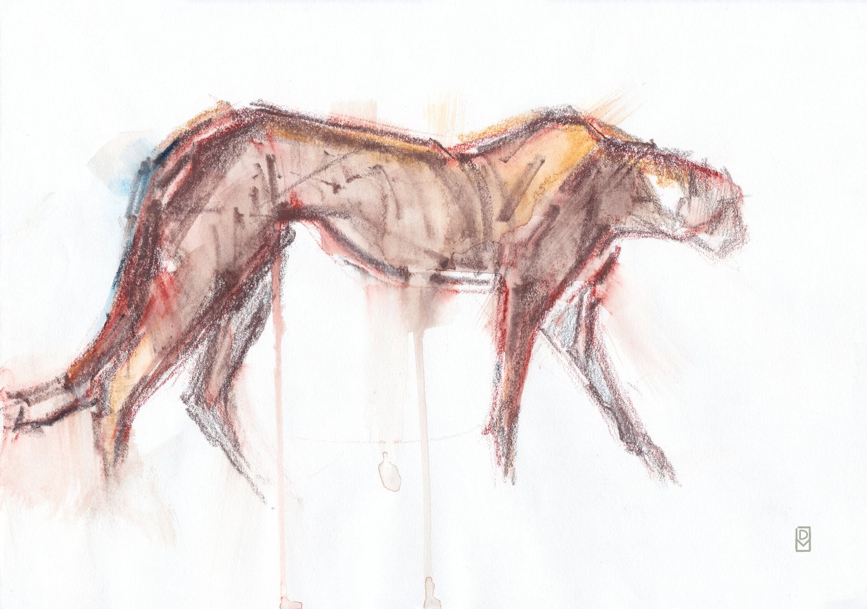 Lov gepardů, 2019 (pastel/akvarel na papíře) od David Mayer